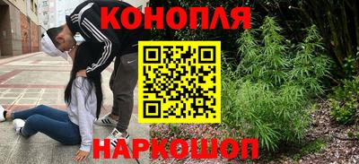 крисы Апшеронск