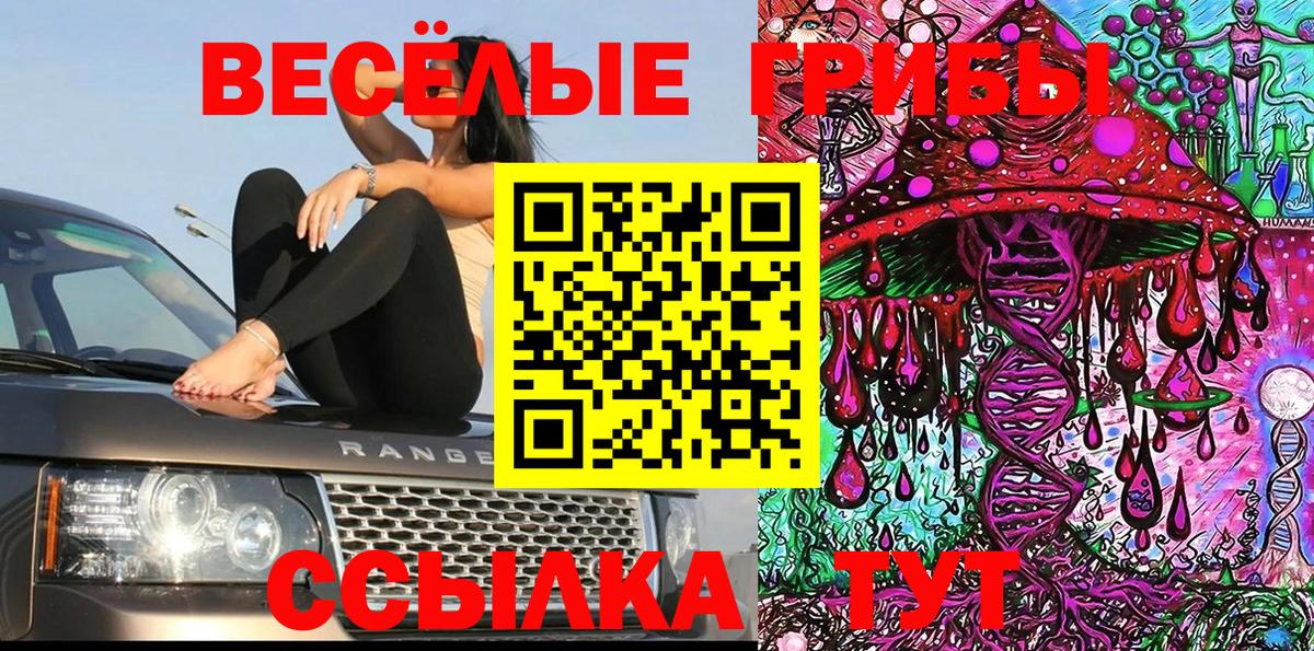 Псилоцибиновые грибы Magic Shrooms  магазин  наркотиков  Бахчисарай  Вход с VPN  Галлюциногенные грибы Psilocybine cubensis 